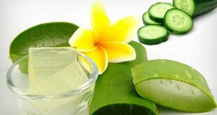 Cara Membuat Masker Timun Lidah Buaya untuk Melembapkan Kulit Wajah secara Alami