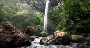 Eksplorasi Pesona Tempat Wisata di Batu Malang Surga Tersembunyi di Jawa Timur